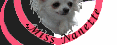 Abbigliamento moda cani