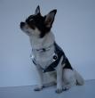 Chihuahua Macho Linea 4Boy pret-a-porter  - Cerimonia e Matrimonio , GOLIA LORD 