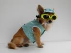 Chihuahua Macho Linea 4Boy pret-a-porter  - Cerimonia e Matrimonio , Viveur 3000 