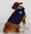 Chihuahua Macho Linea 4Boy pret-a-porter  - Cerimonia e Matrimonio , Glamour 