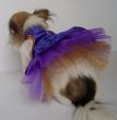 Chihuahua Romantico Linea Miss Nanette , PRINCESSE NANETTE 