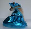 Chihuahua Romantico Linea Miss Nanette , Sexj Bon Bon 