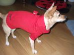 Photogallery , Cloe 