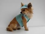 Chihuahua Macho Linea 4Boy pret-a-porter  - Cerimonia e Matrimonio , Viveur 3000 