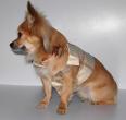 Chihuahua Macho Linea 4Boy pret-a-porter  - Cerimonia e Matrimonio , LILLO MON AMOUR 