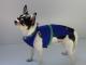 Chihuahua Macho Linea 4Boy pret-a-porter  - Cerimonia e Matrimonio , ROJ DE GALLES 