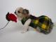 Chihuahua Dark Linea Lady Blue Moon , SCOTIA MELODJ 