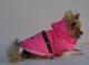 Chihuahua Dark Linea Lady Blue Moon , Bimba 