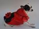 Chihuahua Dark Linea Lady Blue Moon , Butterfly 